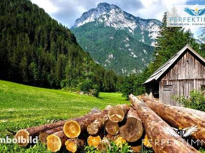 Gewerbeobjekt kaufen in 6471 Arzl (Bild 1)