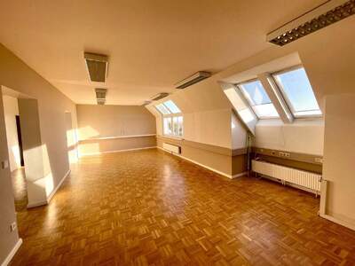 Gewerbeobjekt mieten in 1230 Wien (Bild 3)