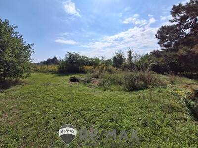 Produktion mieten in 1220 Wien (Bild 5)