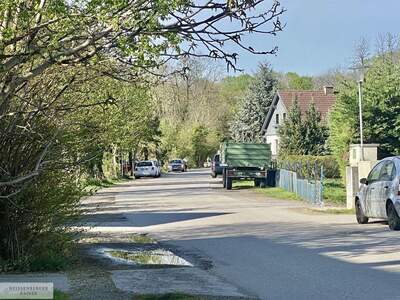 Grundstück kaufen in 2486 Pottendorf (Bild 3)