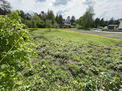 Grundstück kaufen in 2111 Obergänserndorf (Bild 2)