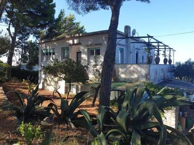 Haus kaufen in 80071 Anacapri NA (Bild 2)