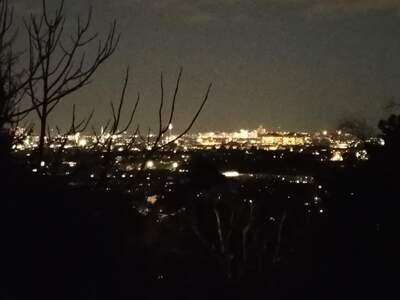 Einfamilienhaus kaufen in 1190 Wien (Bild 3)