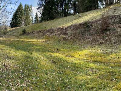 Plot / Land provisionsfrei kaufen in 5223 Pfaffstätt