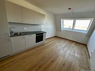 Wohnung mieten in 1130 Wien (Bild 3)