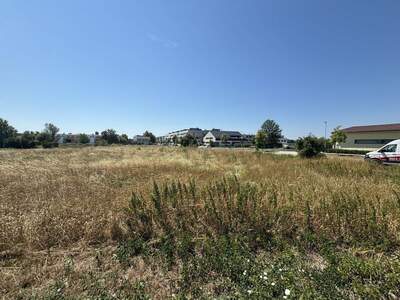 Grundstück kaufen in 7100 Neusiedl