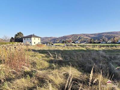 Grundstück kaufen in 3424 Zeiselmauer