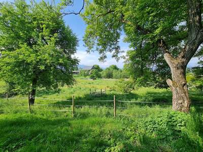 Grundstück kaufen in 9241 Wernberg (Bild 4)