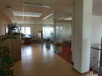 Gewerbeobjekt kaufen in 2700 Wiener Neustadt (Bild 3)