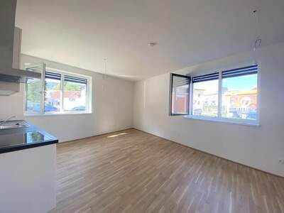 Wohnung mieten in 8020 Graz (Bild 1)