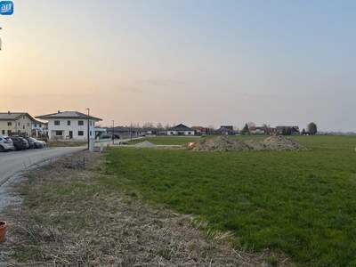 Grundstück kaufen in 4961 Mühlheim (Bild 5)
