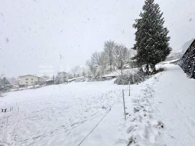 Grundstück kaufen in 6833 Klaus (Bild 3)