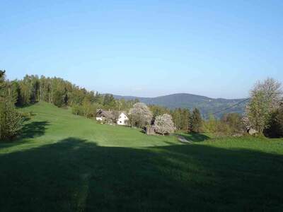 Haus mit Garten kaufen in 3972 Weikertschlag