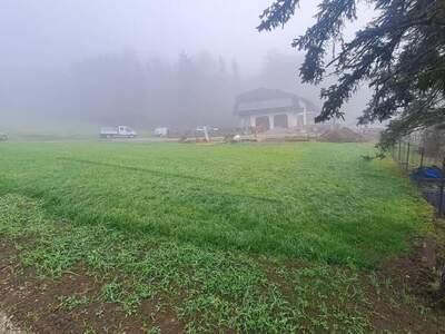 Grundstück kaufen in 4441 Behamberg