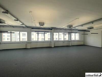 Gewerbeobjekt mieten in 1100 Wien (Bild 2)