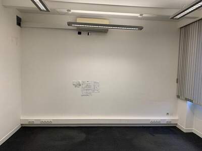 Gewerbeobjekt mieten in 8211 Ilztal (Bild 5)