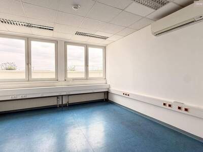 Gewerbeobjekt mieten in 2320 Schwechat