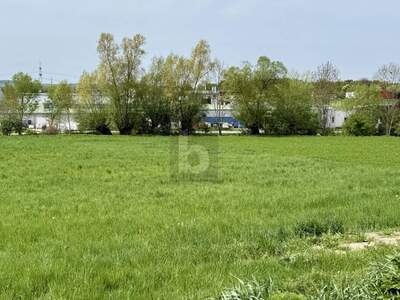 Grundstück kaufen in 7032 Sigleß (Bild 2)