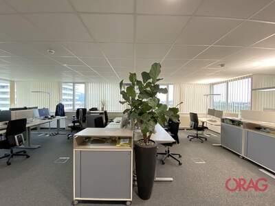 Gewerbeobjekt mieten in 4040 Linz (Bild 1)