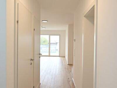 Terrassenwohnung kaufen in 4232 Hagenberg (Bild 4)