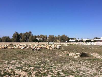 Haus mit Garten kaufen in 73048 Nardo´ (Bild 4)