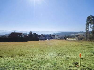 Grundstück kaufen in 2840 Hochegg