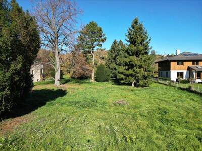 Grundstück kaufen in 1210 Wien (Bild 3)