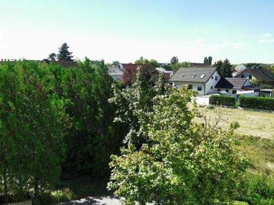 Terrassenwohnung kaufen in 7100 Neusiedl (Bild 4)