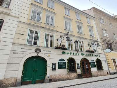 Gewerbeobjekt mieten in 1010 Wien (Bild 1)