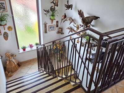 Haus mit Garten kaufen in 3932 Kirchberg (Bild 3)