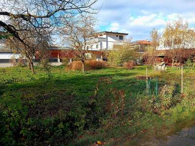 Grundstück provisionsfrei kaufen in 6074 Rinn