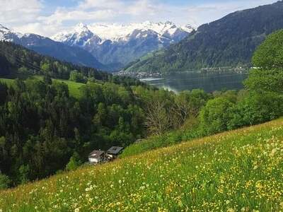 Haus provisionsfrei kaufen in 5700 Zell am See