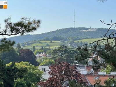 Wohnung kaufen in 1190 Wien