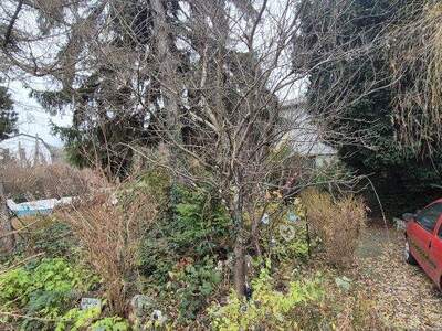 Grundstück kaufen in 1210 Wien (Bild 3)