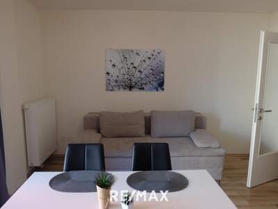 Terrassenwohnung mieten in 1100 Wien (Bild 2)