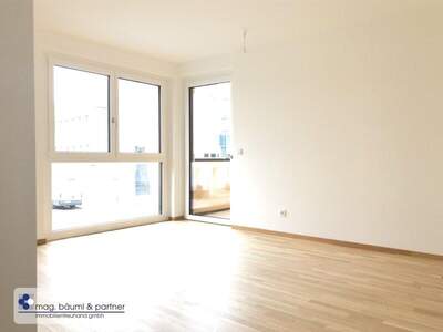 Terrassenwohnung mieten in 1230 Wien (Bild 5)