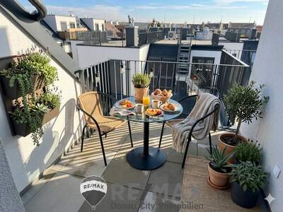 Terrassenwohnung kaufen in 1230 Wien (Bild 1)