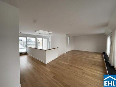 Terrassenwohnung mieten in 1010 Wien (Bild 2)