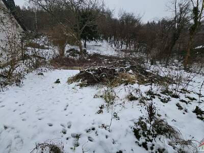 Grundstück kaufen in 3424 Wolfpassing (Bild 5)