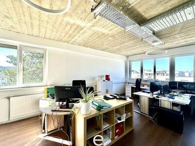 Gewerbeobjekt mieten in 2345 Brunn (Bild 4)