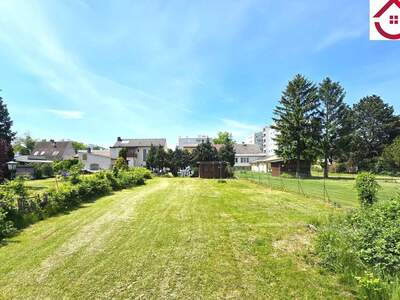 Office / Business kaufen in 2285 Niederösterreich