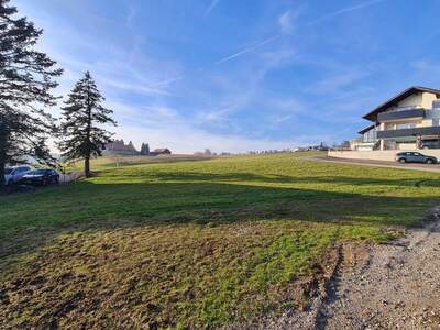 Grundstück kaufen in 4441 Behamberg (Bild 3)