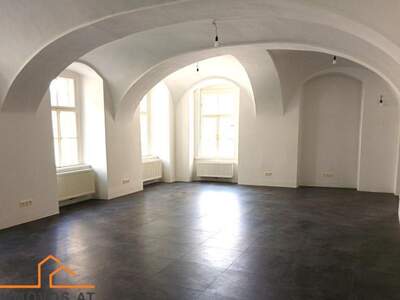 Gewerbeobjekt mieten in 1140 Wien 14. (Bild 2)