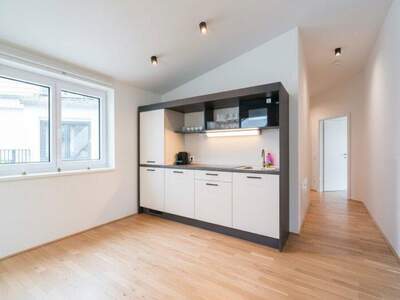 Terrassenwohnung kaufen in 1020 Wien (Bild 5)