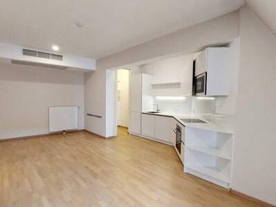 Terrassenwohnung mieten in 1010 Wien (Bild 3)