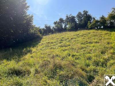 Grundstück kaufen in 4441 Behamberg (Bild 2)