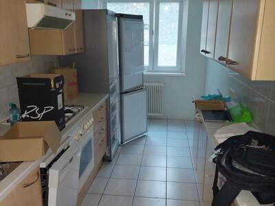 Terrassenwohnung mieten in 1190 Wien (Bild 3)