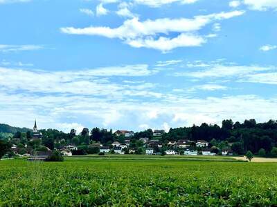 Grundstück provisionsfrei kaufen in 9300 Hörzendorf