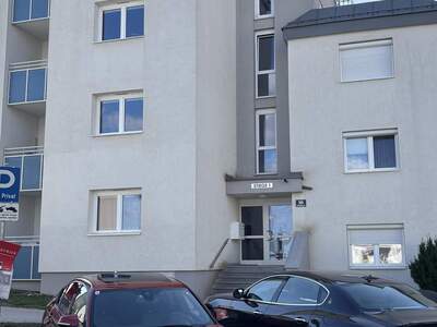 Apartment provisionsfrei mieten in 7350 Oberpullendorf