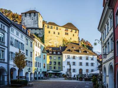 Altbauwohnung mieten in 6800 Feldkirch (Bild 1)
